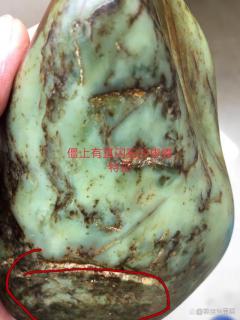 直闪石沙枣青